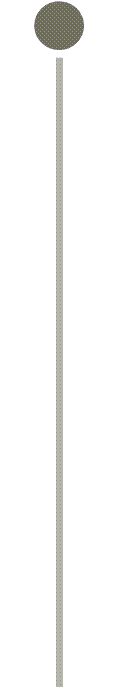 Timeline