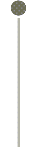 Timeline